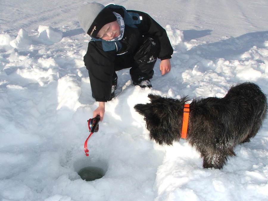 Barn og hund ved isfiske