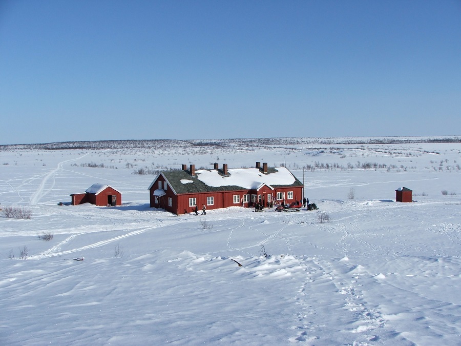 Bingis i vinterlandskap