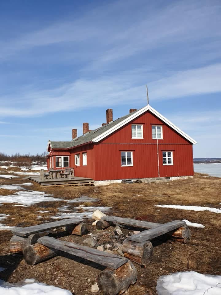 Bingis ved bålpannen på våren