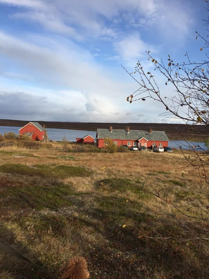 Bingis sett fra høyden om høsten